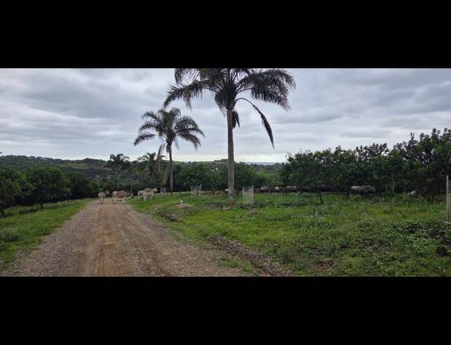 BUSINESS FOR SALE IN LEISURE BAY